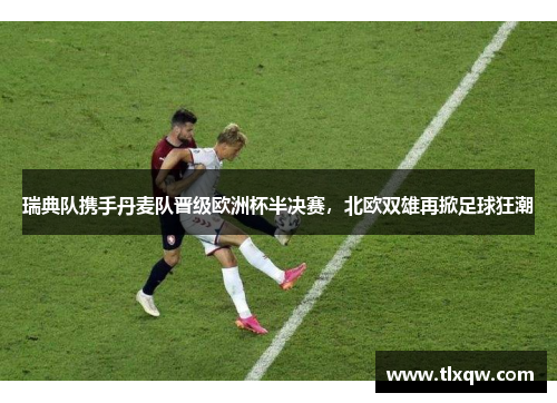 瑞典队携手丹麦队晋级欧洲杯半决赛，北欧双雄再掀足球狂潮