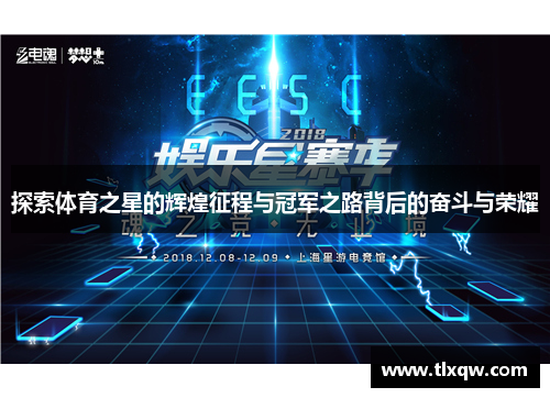 探索体育之星的辉煌征程与冠军之路背后的奋斗与荣耀